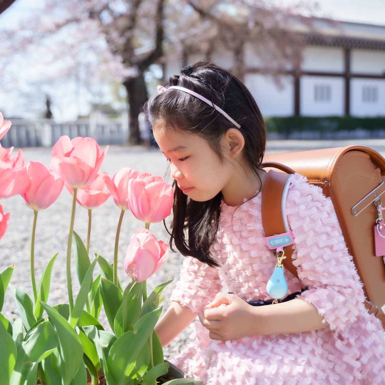 代々木八幡・入学式・卒業式の出張撮影